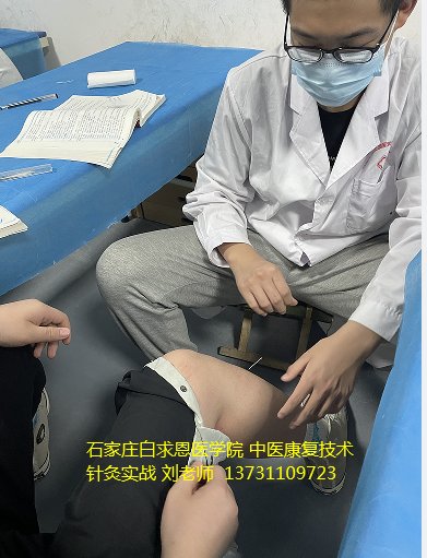院校代码