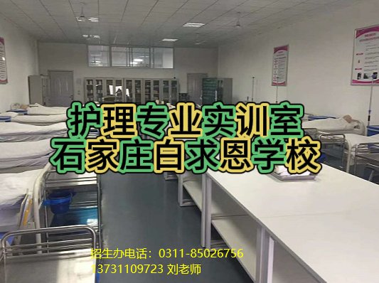 贝搏体育app官网下载井陉校区对口高