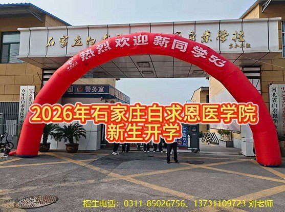 （全国认可） ✅ 经典3+3升学路（